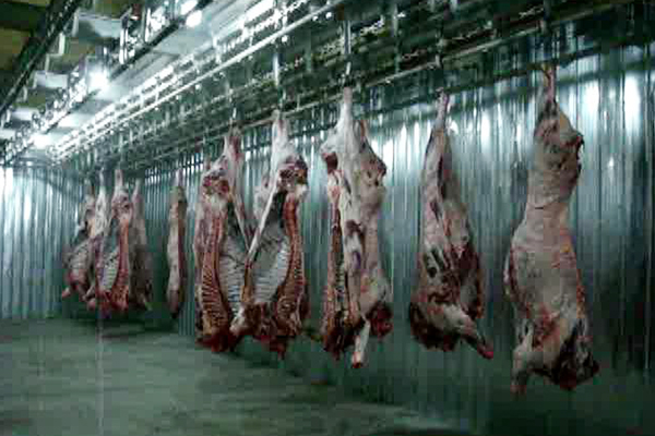北京附近猪屠宰场设备多少钱