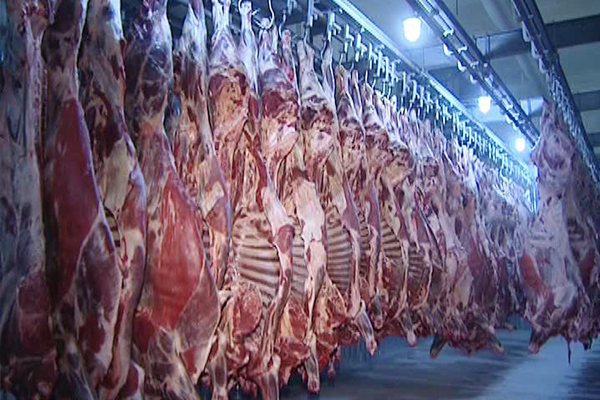 安徽本地进口牛屠宰设备厂家