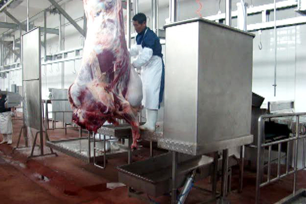 南京本地牛羊屠宰设备价格
