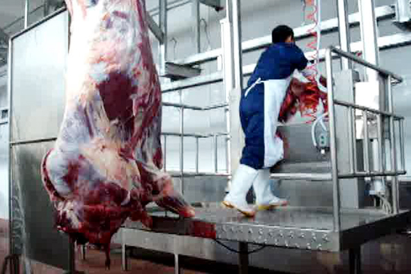 扬州本地进口牛屠宰设备厂家