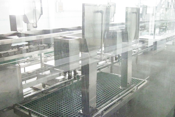 Floor type internal organs inspection conveyor