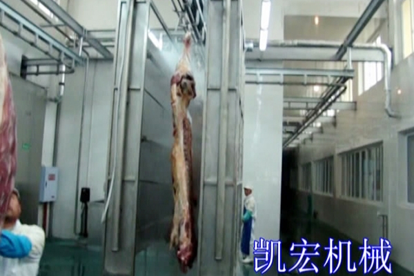 Automatic carcass cleaning device