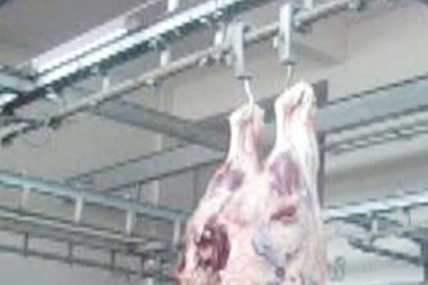 Carcass weighing system