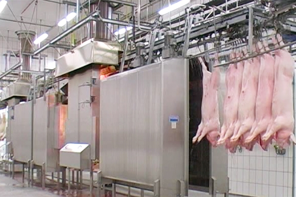 Pig slaughtering equipment