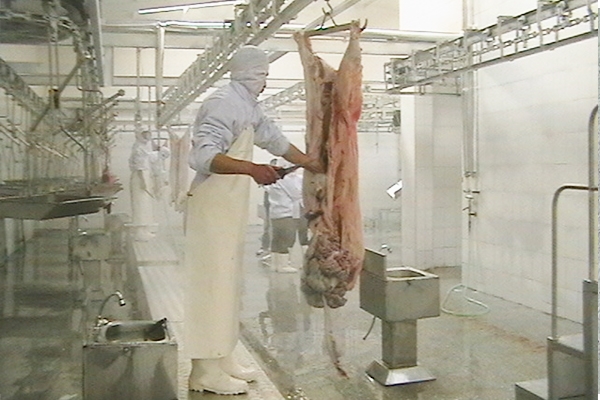Pig slaughtering equipment