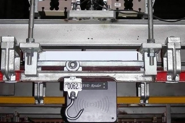 Static electronic scale for binary carcass