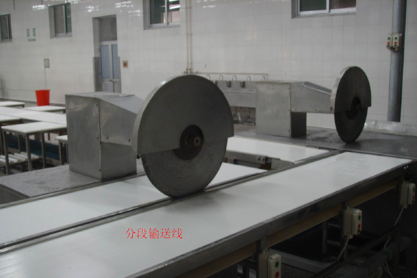 Sectional conveyor line